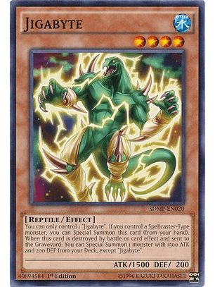 Jigabyte - SDMP-EN020 - Common