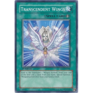 Transcendent Wings - DP1-EN018 - Common