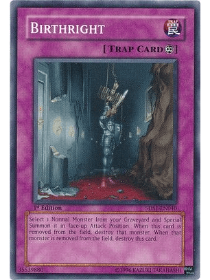 Birthright - 5DS1-EN040 - Common