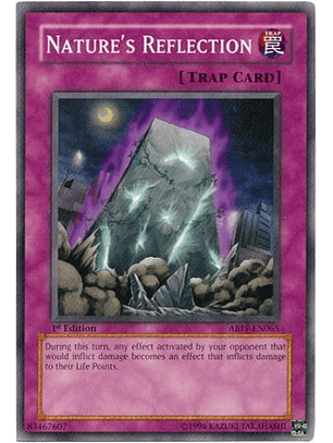 Nature's Reflection - ABPF-EN065 - Common