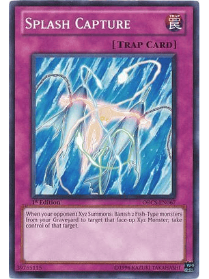 Splash Capture - ORCS-EN067 - Common 