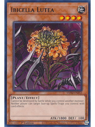 Ibicella Lutea - VASM-EN052 - Rare 