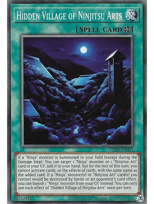 Hidden Village of Ninjitsu Arts - OP20-en021 - Common 