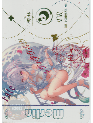 Merlin - NS-10-M05-05 - FR 