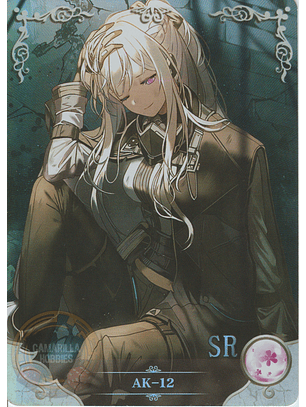 AK-12 - NS-08SR-02 - SR