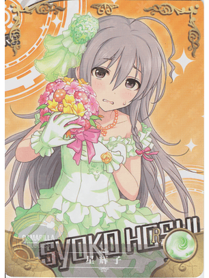 Syoko Hoshi - NS-5M06-101 - R 