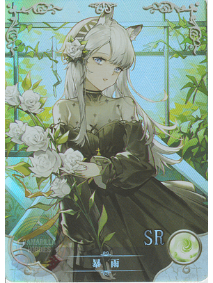 Heavyrain - NS-5M06-088 - SR