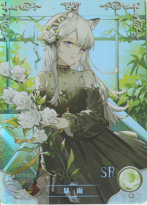 Heavyrain - NS-5M06-088 - SR