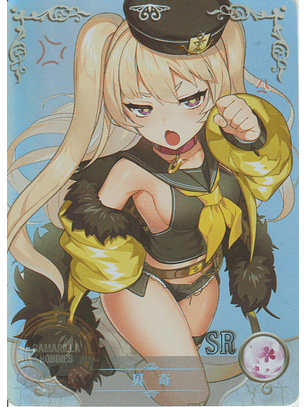 Bache - NS-5M07SR-10 - SR