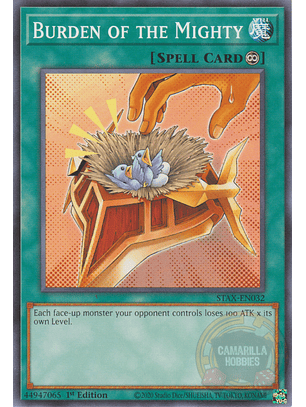 Burden of the Mighty - STAX-EN032 - Common 