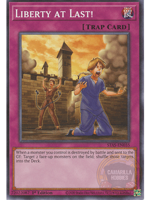 Liberty at Last! - STAS-EN035 - Common 
