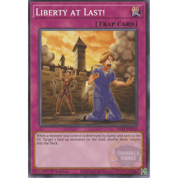 Liberty at Last! - STAS-EN035 - Common 