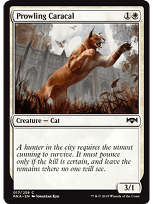 Prowling Caracal - RNA - C