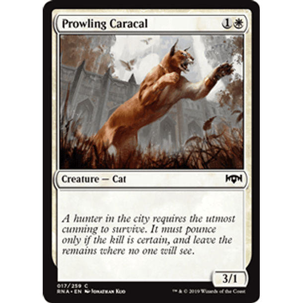 Prowling Caracal - RNA - C