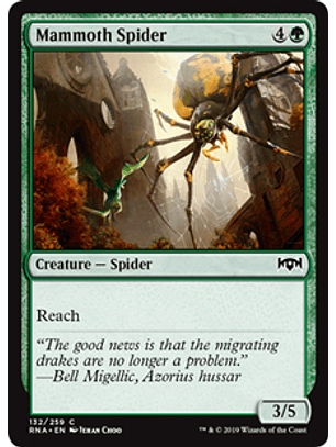 Mammoth Spider - RNA - C 