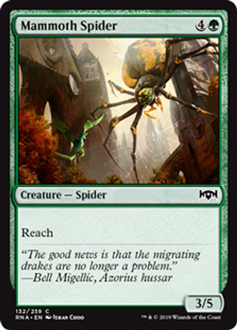Mammoth Spider - RNA - C 