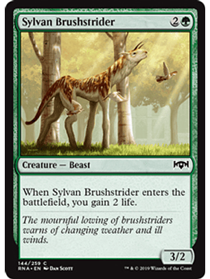 Sylvan Brushstrider - RNA - C 