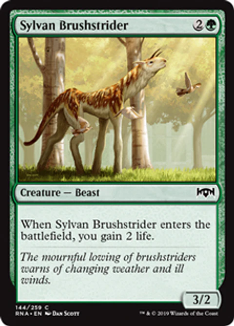 Sylvan Brushstrider - RNA - C 
