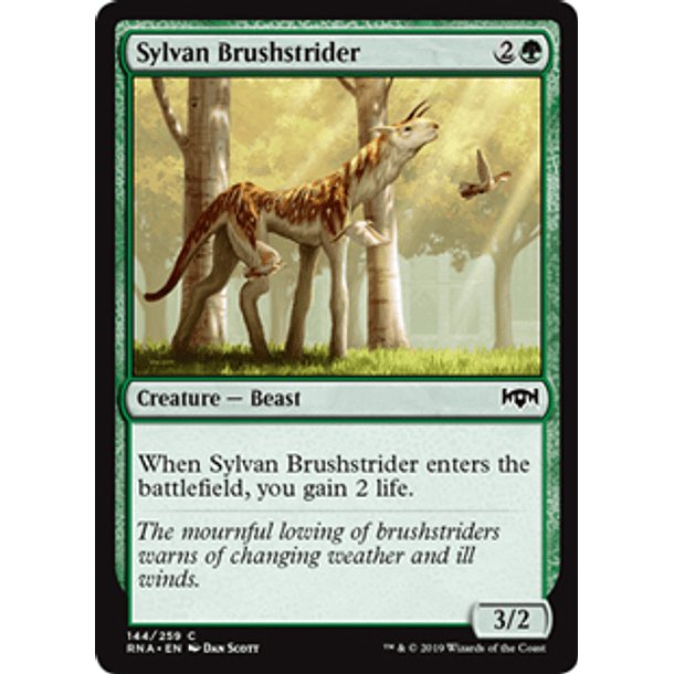 Sylvan Brushstrider - RNA - C 