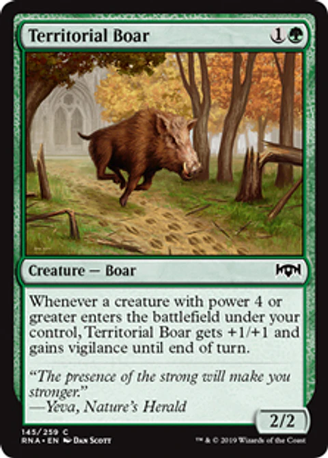 Territorial Boar - RNA - C