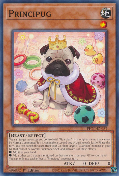 Principug - PHNI-EN034 - Common 