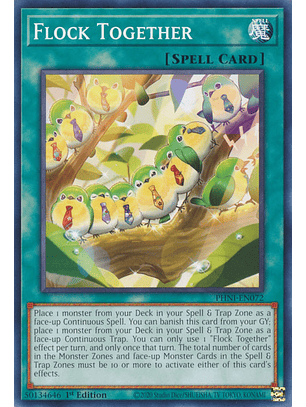 Flock Together - PHNI-EN072 - Common 