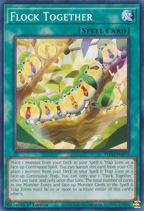 Flock Together - PHNI-EN072 - Common 