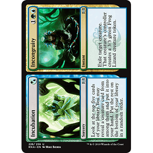 Incubation // Incongruity - RNA - U 