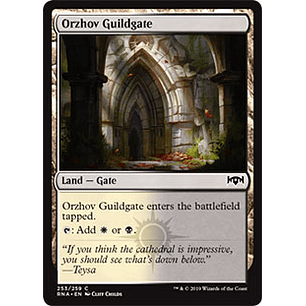 Orzhov Guildgate  253 - RNA - C