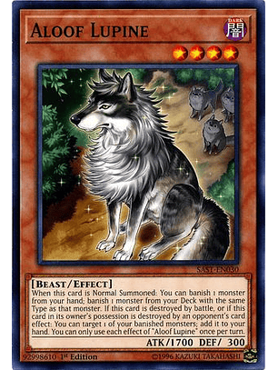 Aloof Lupine - SAST-EN030 - Common