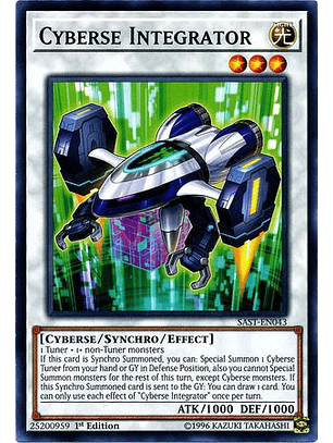 Cyberse Integrator - SAST-EN043 - Common