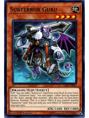 Subterror Guru - SAST-EN094 - Common