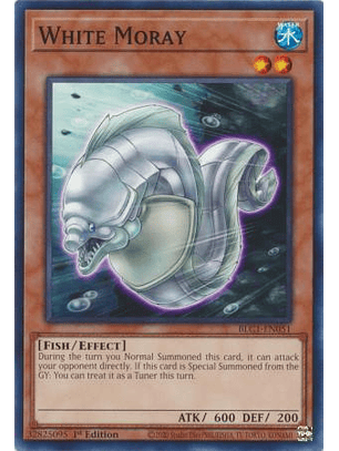 White Moray - BLC1-EN051 - Common 