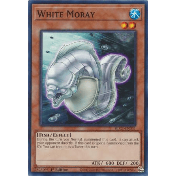 White Moray - BLC1-EN051 - Common 