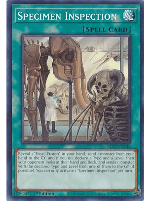 Specimen Inspection - BLC1-EN136 - Common 