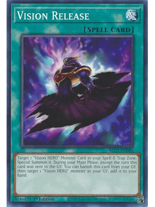 Vision Release - BLC1-EN085 - Common 