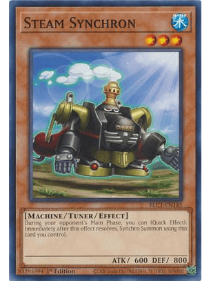 Steam Synchron - BLC1-EN145 - Common 