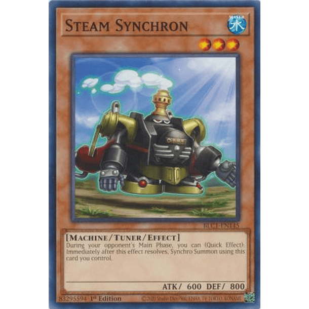 Steam Synchron - BLC1-EN145 - Common 