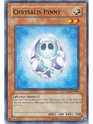 Chrysalis Pinny - TAEV-EN009 - Common