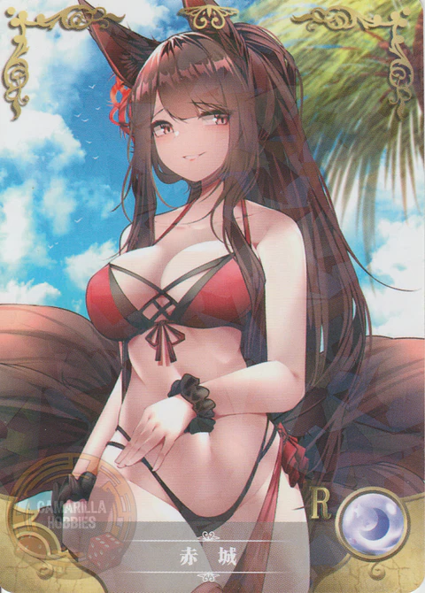 Akagi - NS-08-17 - R