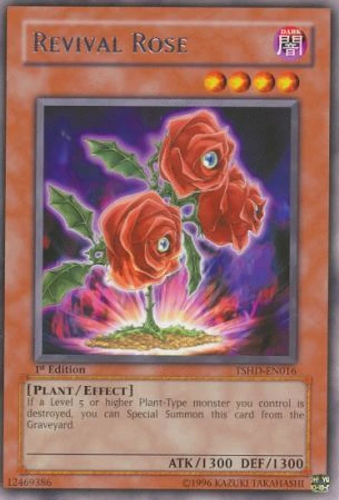 Revival Rose - TSHD-EN016 - Rare