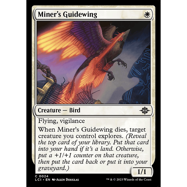 Miner's Guidewing - LCI - C