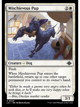 Mischievous Pup - LCI - U 