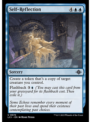 Self-Reflection - LCI - U 