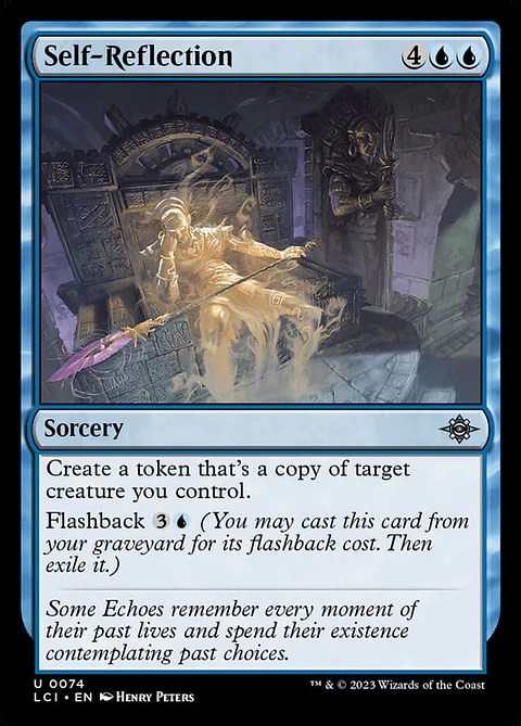 Self-Reflection - LCI - U 