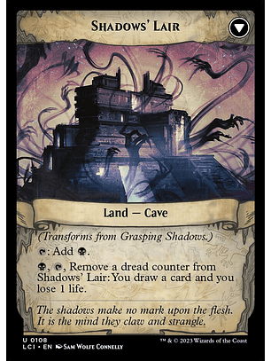 Grasping Shadows - LCI - U