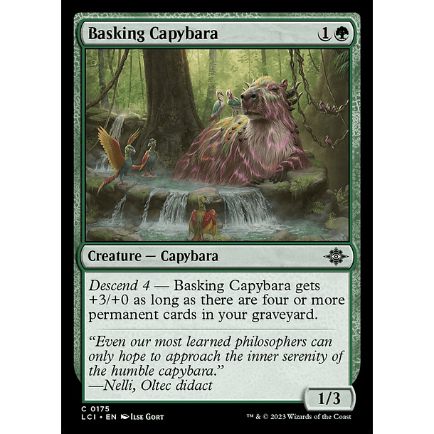 Basking Capybara - LCI - C
