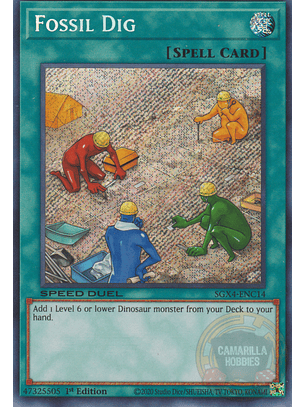Fossil Dig - SGX4-ENC14 - Secret Rare