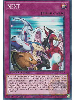 NEXT - SGX4-ENA18 - Common 