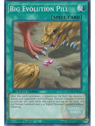 Big Evolution Pill - SGX4-ENC12 - Common 